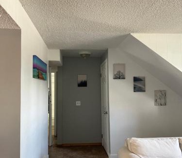 Northwest Calgary House | Charming Single House Lower Level