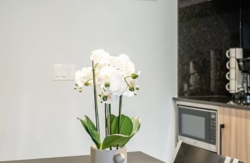 Alexandra Park Condo | Chic 1BR+Den Condo Queen West Walk Everywhere!