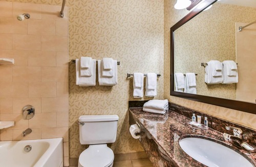 Windsor Hotel | Comfort Inn & Suites Ambassador Bridge