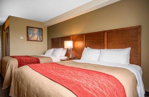 Langley Hotel | Comfort Inn & Suites