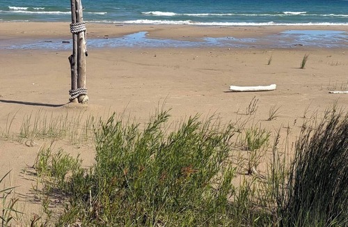 Southampton Cottage | Coming Soon! Ready by mid-August.One Bedroom Southampton Gem—close to beach!