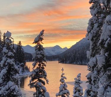 Jade City Ski Chalet | Cooks and Puppies Hideaway