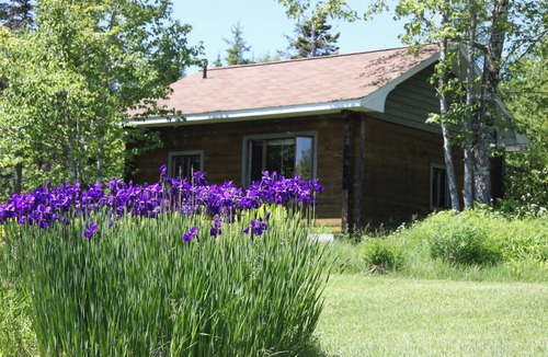 Baddeck Apartment | Cottage Suites with Great Deck.Overlooking nature and Baddeck Bay