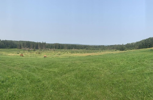 Whitecourt House | Country living