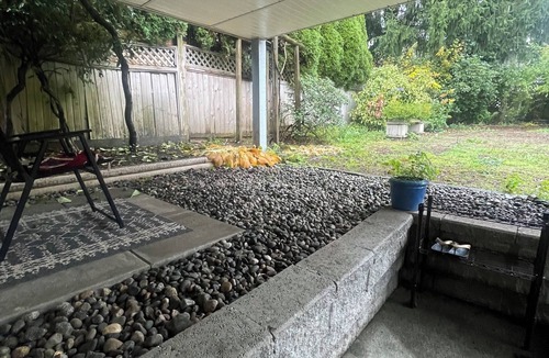 Port Coquitlam House | Cozy Basement Suite in a Quiet Port Coquitlam Neighborhood