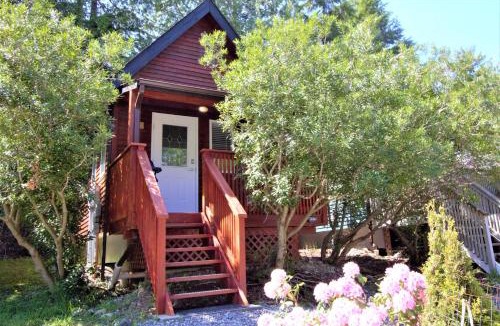 Ucluelet Ski Chalet | Cozy Cabin Near Walking Trails And Beaches!