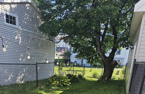 Saint John Apartment | Cozy / Central / Parking / Dog Friendly