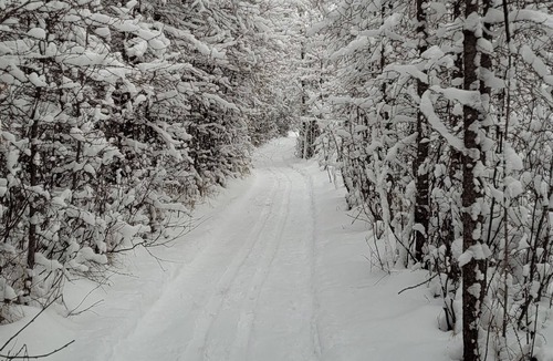 Rocky Mountain House Cabin | Cozy Country Escape: Pet-Friendly Cabin with Ski & Snowshoe Trails