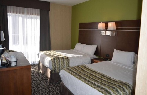Fernie Resort | Deluxe room with 2 Queen Bed