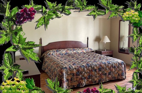 Oliver Hotel | Desert Arms Hotel