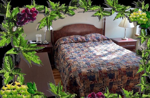 Oliver Hotel | Desert Arms Hotel