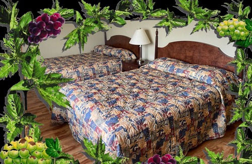 Oliver Hotel | Desert Arms Hotel