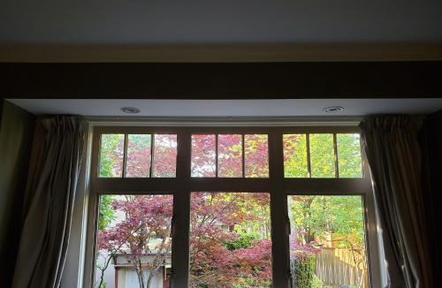 Kitsilano House | Elegant, Sunny Modern Home with Skylights - Kitsilano, Vancouver