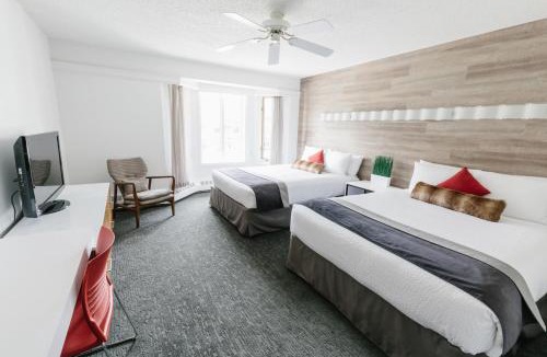 Banff Hotel | Elk + Avenue Hotel