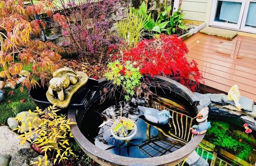 Saanich East House | Enjoyable 2-bedroom house in lovely Saanich Core neighborhood
