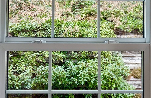 Metro Vancouver Regional District House | Forest Retreat Suite | Near Lakes, Trails & SkyTrain