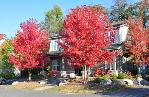 Seguin Cottage | Fully equipped cottage on Lake Joseph at Rocky Crest, Lakeside development.