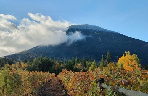 Tappen Resort | Glamping at vinyard