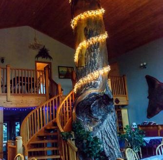 Golden Cabin | Glenogle Mountain Lodge