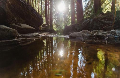 Roberts Creek Bed & Breakfast | Hidden Creek Hideaway