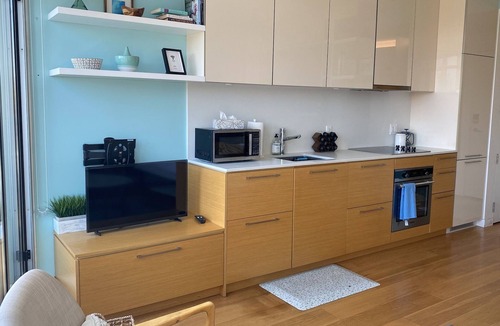 Downtown Victoria Apartment | Historic Janion Studio with Harbour Views