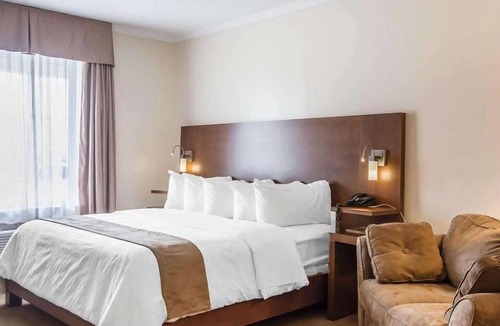 Forestville Hotel | Hotel Danube Bleu