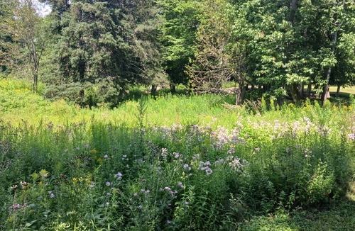 Islesboro Other | Islesboro's Seaglass Farm