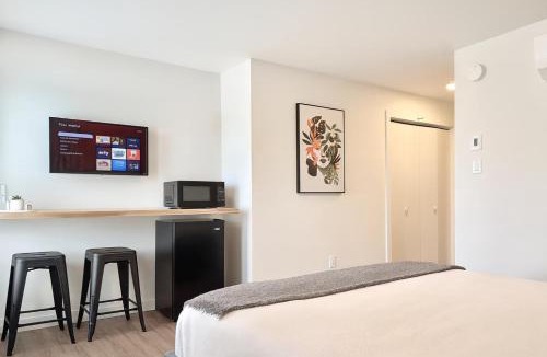 Paine-Sec Apartment | Lévis Center - New Studio #1 - AC