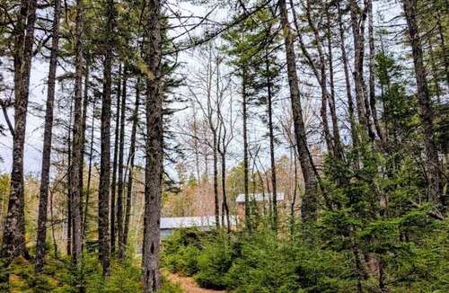 Queens House | Lake front cottage 5 bedrooms bright open concept