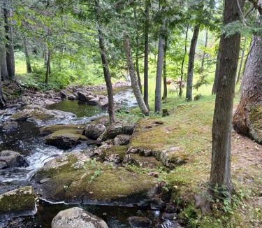 Mauricie Ski Chalet | Le Cristallin