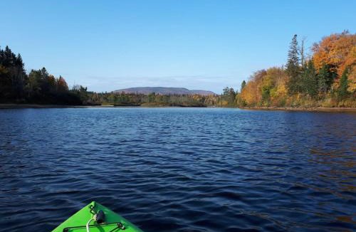 Shannon Ski Chalet | Le Grand Heron - Waterfront Cabin with Spa