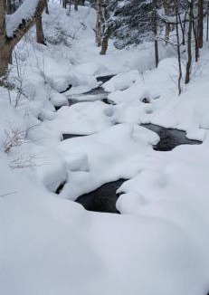 Mauricie Ski Chalet | Le Iris
