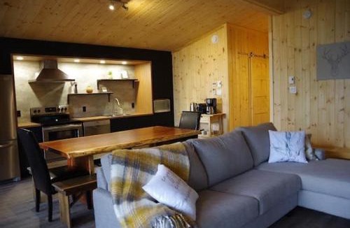 Baie-St-Paul Ski Chalet | Le Repère Aya Spa privé