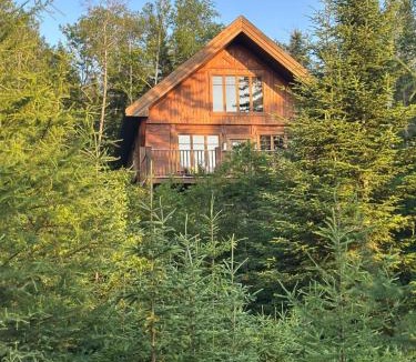 Notre-Dame-de-la-Merci Ski Chalet | Le Saïra Spa, billiards, sauna, AC, St-Donat
