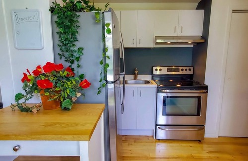 Vieux-Limoilou Apartment | Limoilou Trendy 4 pers AC Near Downtown