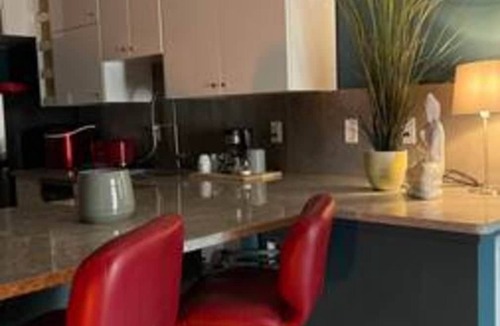 Red Deer Apartment | Metropolitan Loft 202