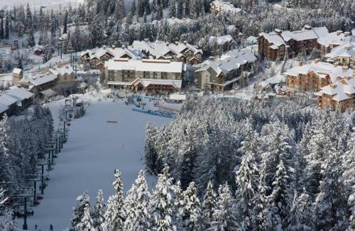 Panorama Apartment | Moguls, Lofted Ski in Ski Out with Hot Tub Access