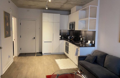 Shaughnessy Village Condo | NICE FURNISHED CONDO Downtown Montreal - EC