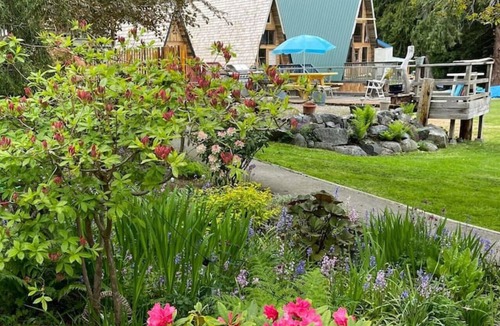 Powell River Cabin | Ocean View Cabins at the Laughing Oyster