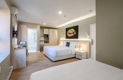 Gay Village Hotel | Olympia Hotel by Lodgo