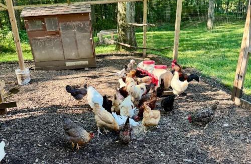 Redding Ridge House | Pet-Friendly Cottage, 2 Mi to Saugatuck Falls