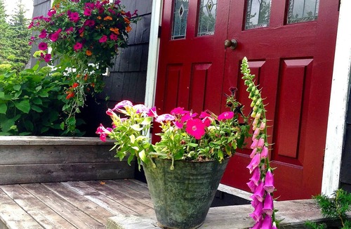 Margaree Valley Cottage | Potter's Cottage on Beautiful property in Lovely Margaree Valley