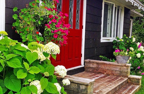 Margaree Valley Cottage | Potter's Cottage on Beautiful property in Lovely Margaree Valley