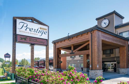 Golden Hotel | Prestige Golden Hotel