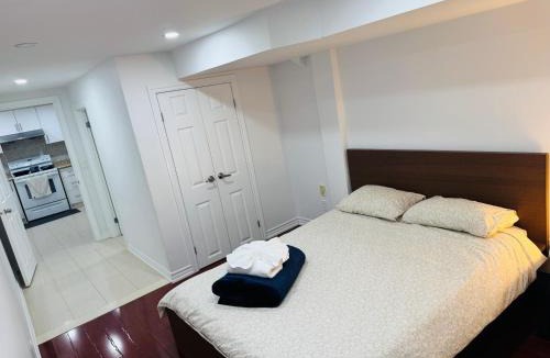 Mississauga House | Private Deluxe basement suiteP1