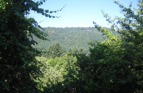 Langford Apartment | PRIVATE PROPERTY CHECK IN BETWEEN 12-5PM 1 BDRM WITH BATHROOM
