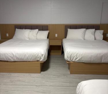Jasper Place Hotel | Rundle Inn and Suites