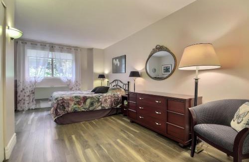 Saint-Sauveur Apartment | Saint Sauveur Dream