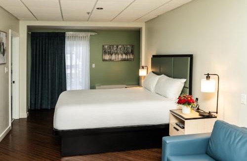 Whitehorse Hotel | SKKY Hotel