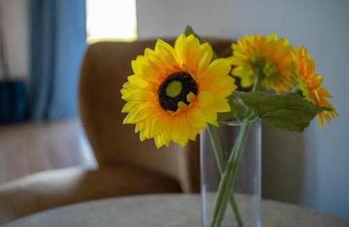 Osoyoos Hotel | Sonora Desert Inn